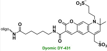 Bio-Synthesis Inc. Oligo Structure
